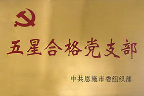 五星合格党支部